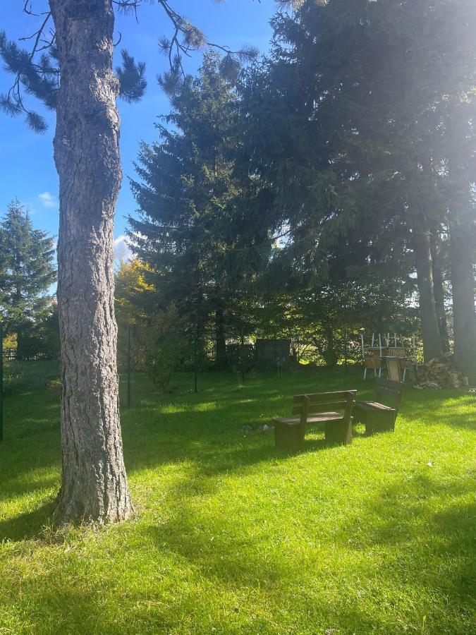 Apartman Studnice Na Vysocine Nove Mesto na Morave Eksteriør bilde